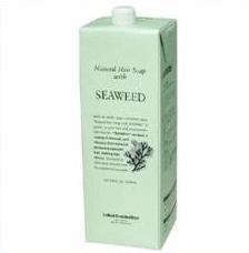 画像1: ルベルナチュラルヘアソープシーウィード（SEAWEED）1600ml